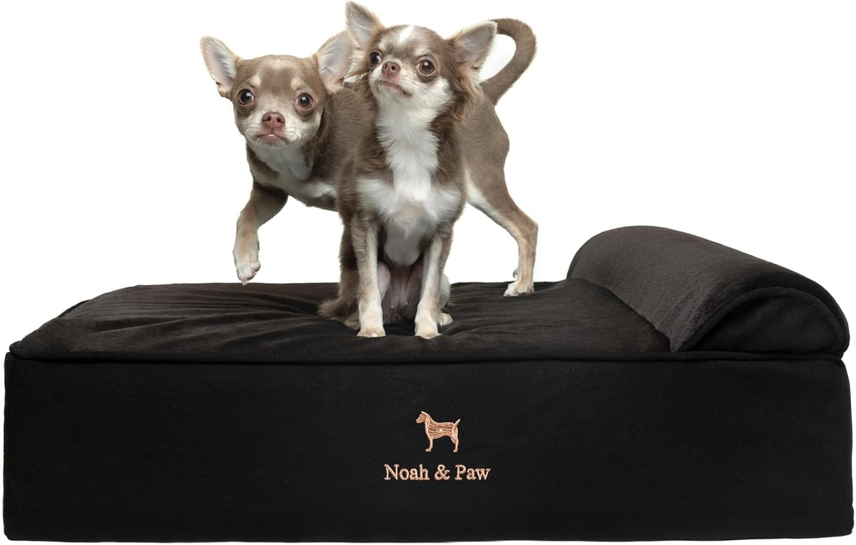 NOAH & PAW Dog Bed, 28X23X7.5 Inch, Orthopedic Dog Beds for Medium Size Pets, Eggshell Memory Foam Infused with Cooling Gel, Water Resistant, Machine Washable, Includes Inner Cover