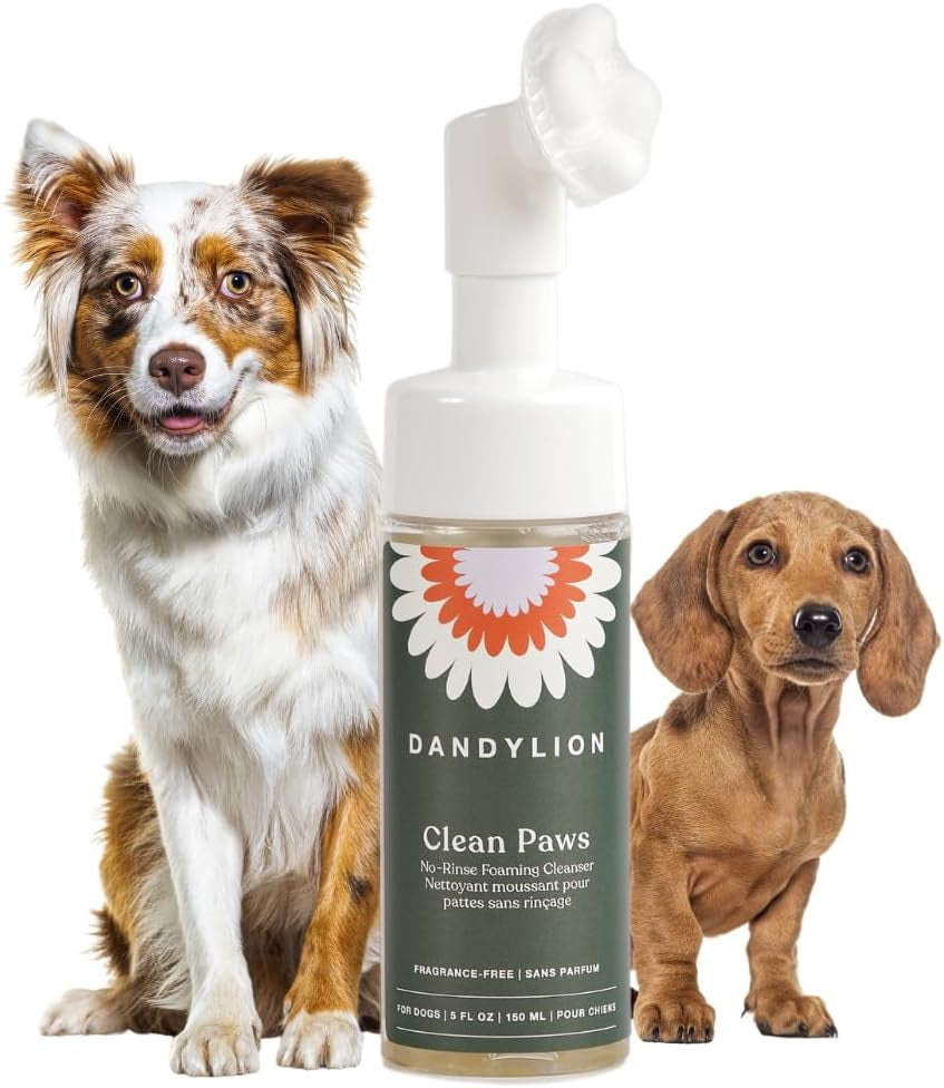 Dandylion Daily Paw Care Kit | No-Rinse Dog Paw Cleaner + Paw Lotion with Brush | Fragrance-Free, Ph-Balanced Formula | Desiged for All Dog Breeds