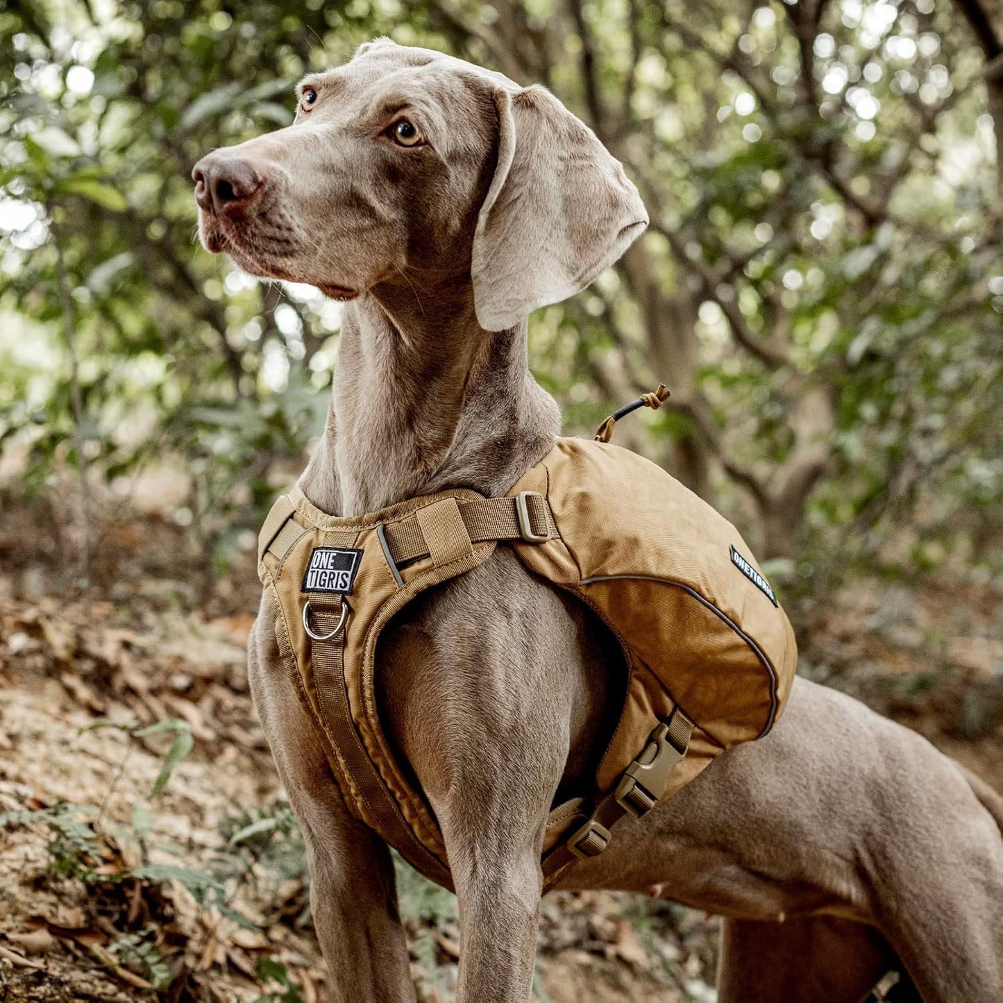 ONETIGRIS Y-Shaped Dog Backpack No Pull CAMLUS Dog Saddle Bag with D-Rings, Lightweight Dog Pack Hiking Gear for Dogs Hunting Camping Travel