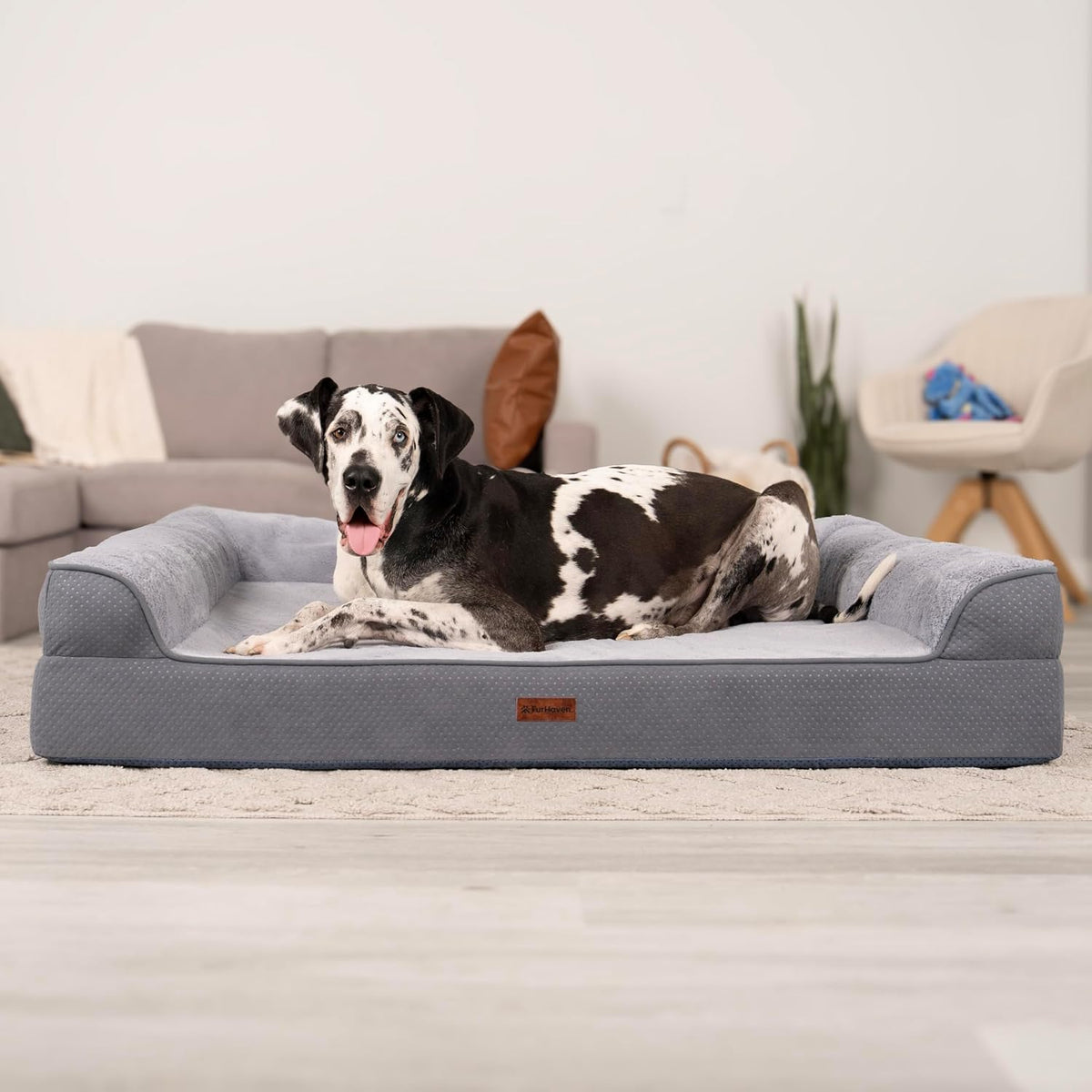 Furhaven Jumbo plus (53"X40") Orthopedic Dog Bed – Certipur-Us Foam Sofa Pet Bed, Embossed Velvet, Removable Washable Cover, Steel Blue