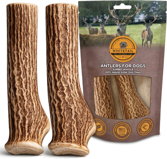 Whitetail Naturals 2 Pack Monster XXL Deer Antlers for Giant Dogs - 7-8"