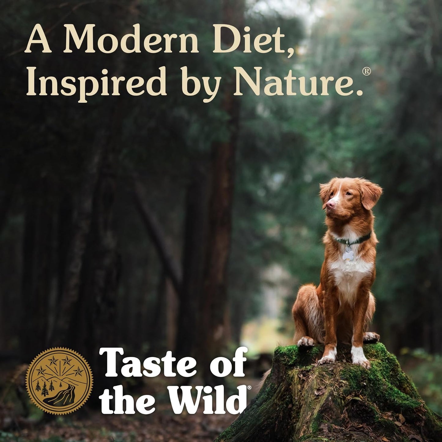 Taste of the Wild Ancient Prairie All Life Stages High Protein Recipe with Roasted Bison, Roasted Venison & Ancient Grains Dry Dog Food 28Lb