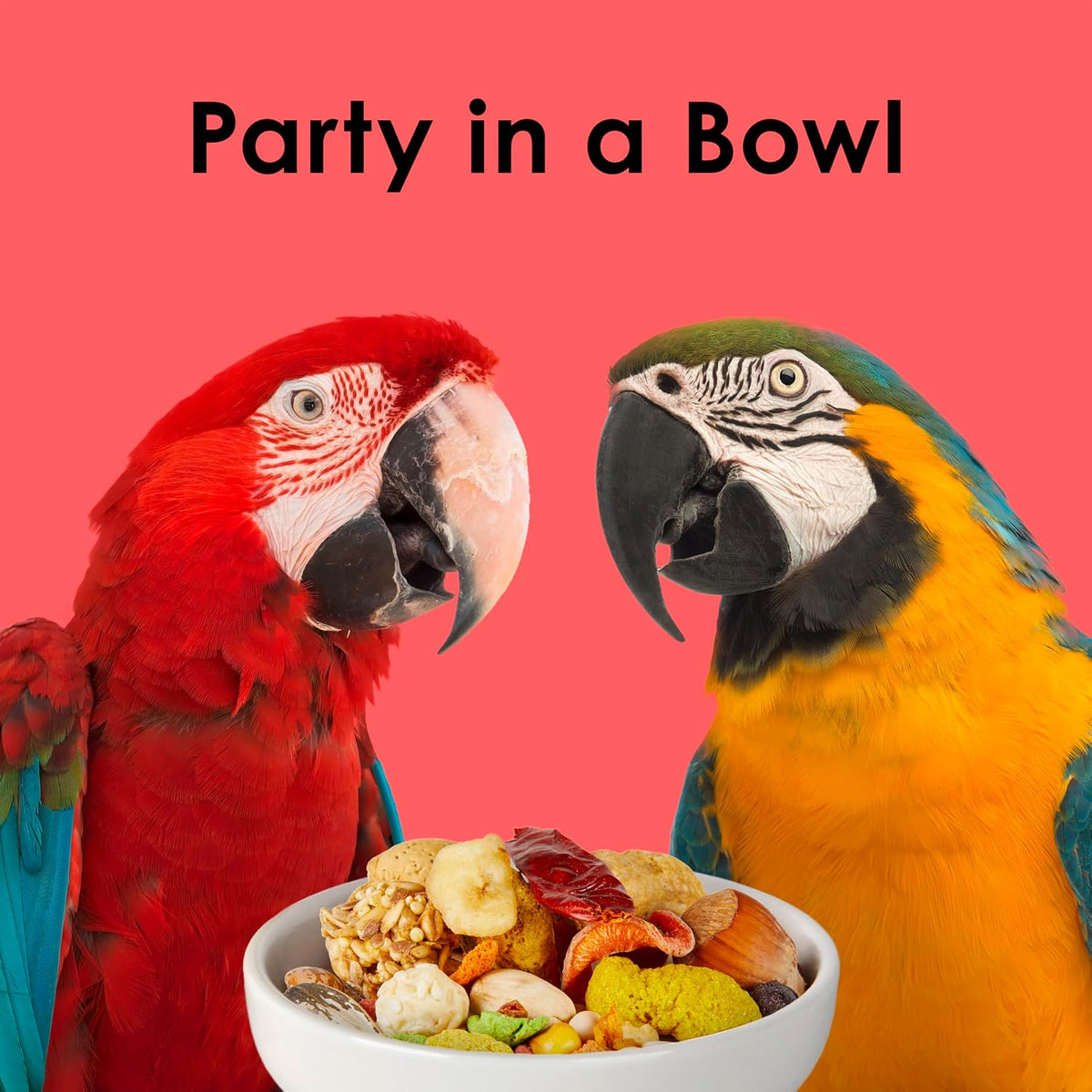 Kaytee Fiesta Macaw Food, Nutritious and Fun Blend, 4.5 Pounds