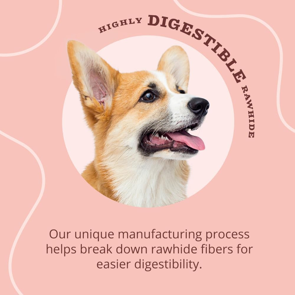 Better Belly Triple Flavor Kabobs, 10 Kabobs, Long-Lasting Dog Chews with Chicken, Pork and Beef