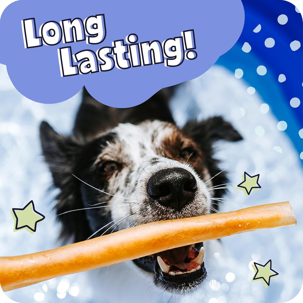 Pawstruck All Natural 5-6" Roasted Collagen Sticks for Dogs – Low Odor & Long-Lasting Bully Stick Alternative, Single Ingredient & Vet Approved – 10 Pack