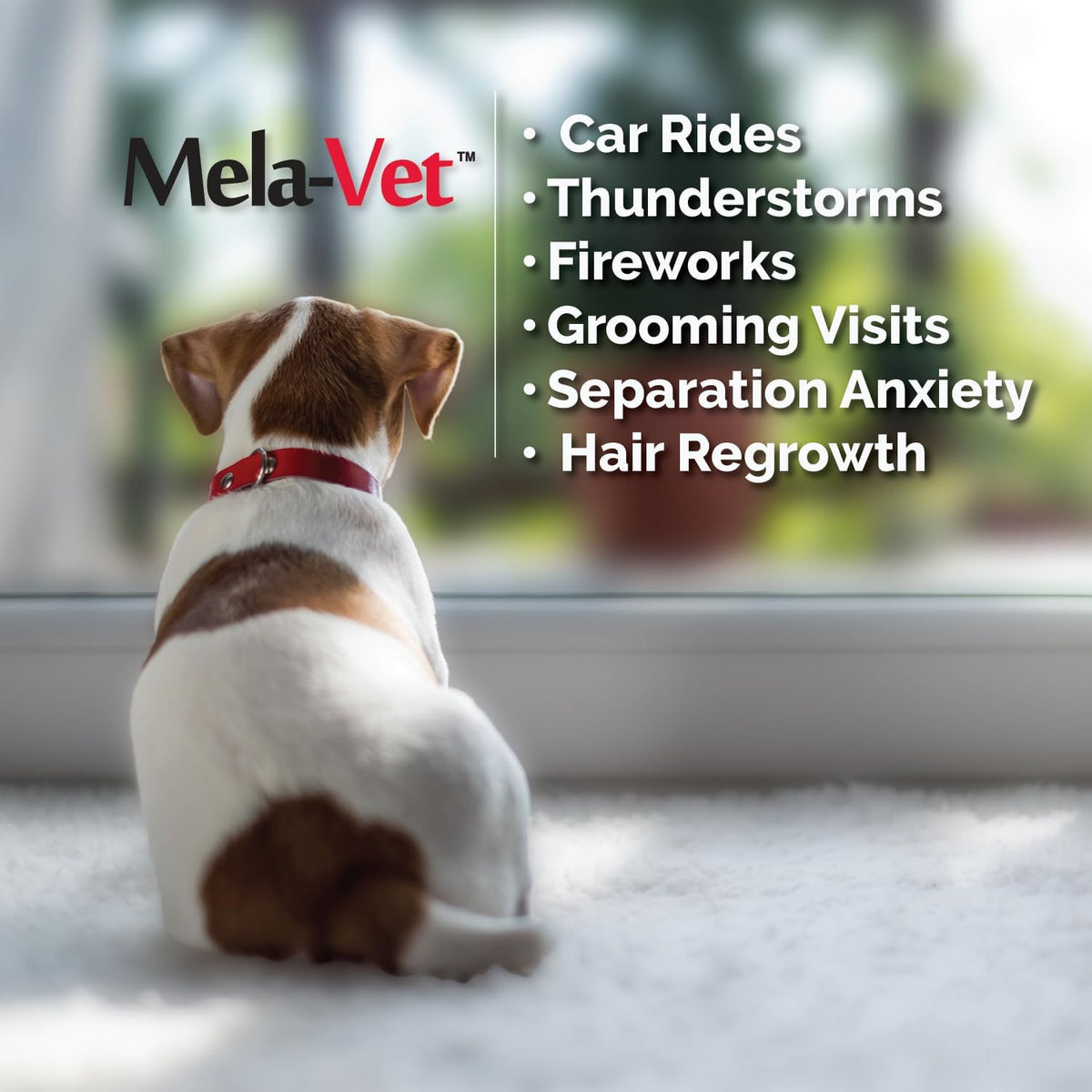 Melatonin Calming Soft Chews for Dogs – Vet-Formulated Anxiety Relief for Travel, Fireworks & Separation Stress, Helps Reduce Tension & Restlessness, Supports Healthy Skin & Coat – 120 Soft Chews