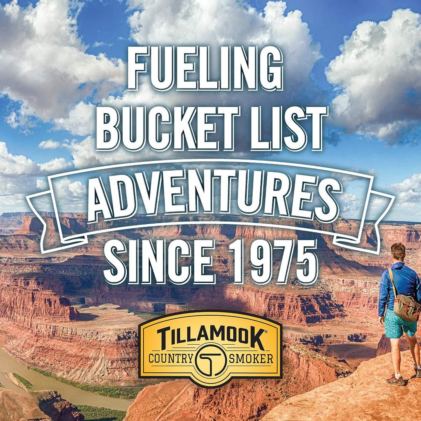 Tillamook Country Smoker Real Hardwood Smoked Sausages, Original Beef, 15.2 Ounce Tall Jar, 20 Count