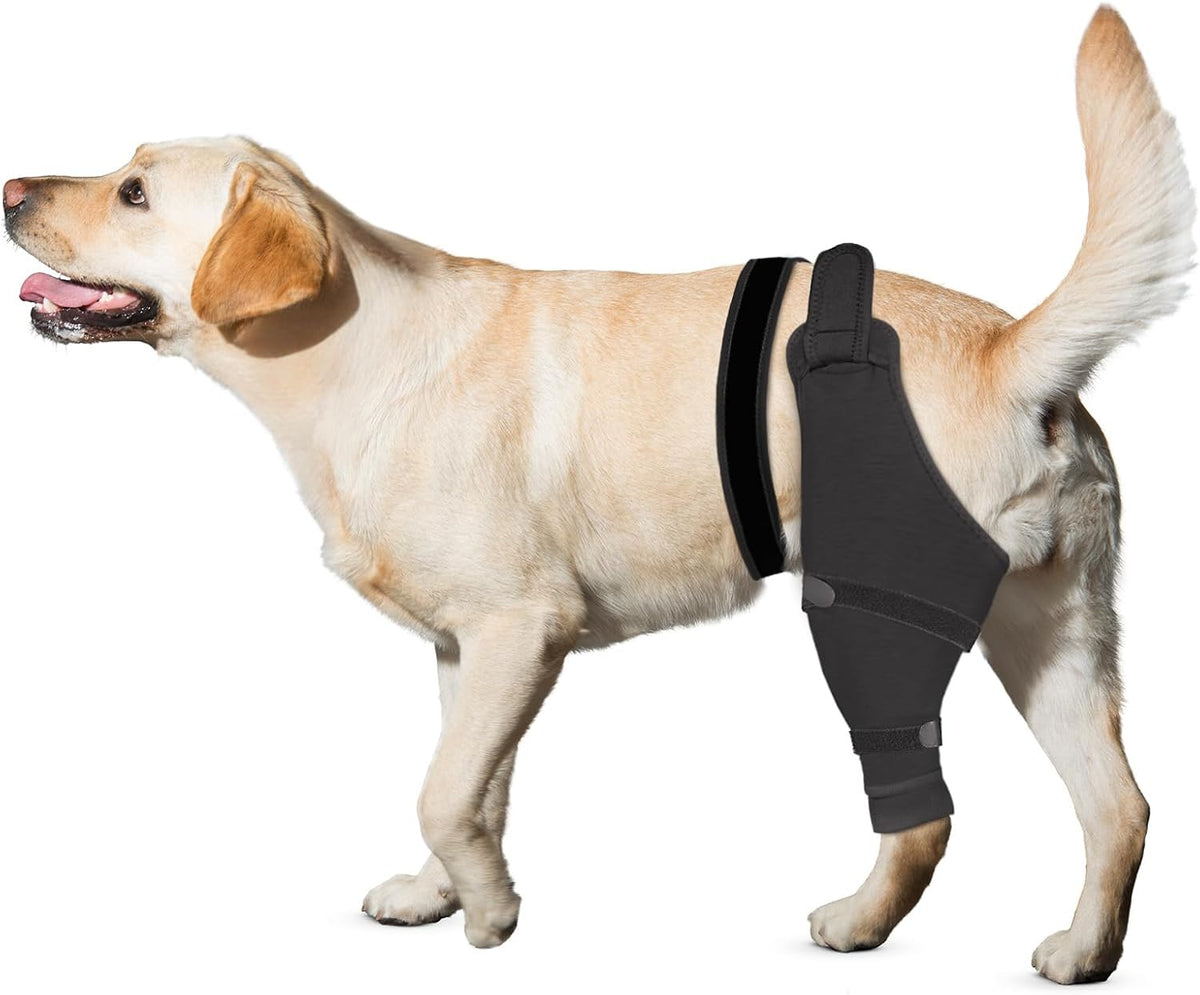Dog Rear Leg Sleeve to Stop Licking, TPLO Surgery Recovery Cone Alternative