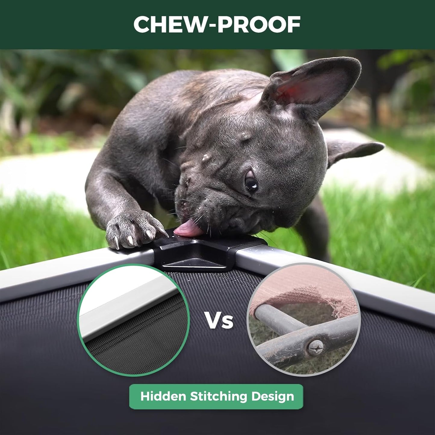FXW Titannest Chew-Proof Elevated Dog Bed, Raised Cot for Indoor/Outdoor/Camping Use, Durable & Waterproof Cooling Pet Bed for Extra-Small Dogs, 30.0" L X 22.0" W X 4.5" H, Black