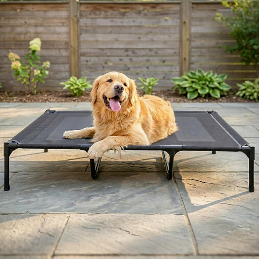 Suddus Elevated Dog Bed for Large Dogs 120Lb, Breathable Cooling Raised Dog Cot with Dual Support Bars & Metal Frame, No-Slip Feet, Waterproof Pet Bed for Indoor/Outdoor, X-Large, 48 * 36 * 9In, Grey