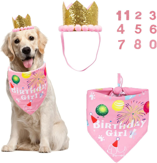 Dog Birthday Girl Bandana, Pink Birthday Hat, Age Numbers, Large