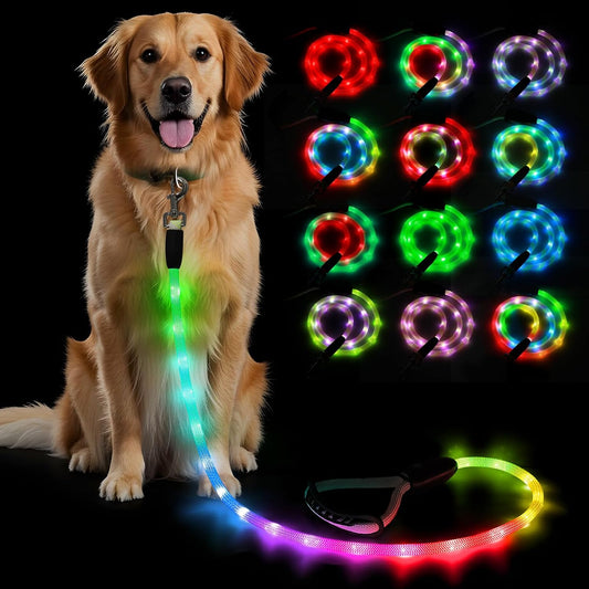 Light up Dog Leash - LED Dog Leash Type-C Rechargeable, 13 Lighting Modes, Glow in the Dark Pet Lead with Soft Handle for Small Medium Large Dogs Night Walking Safety (RGB, 4 Ft)