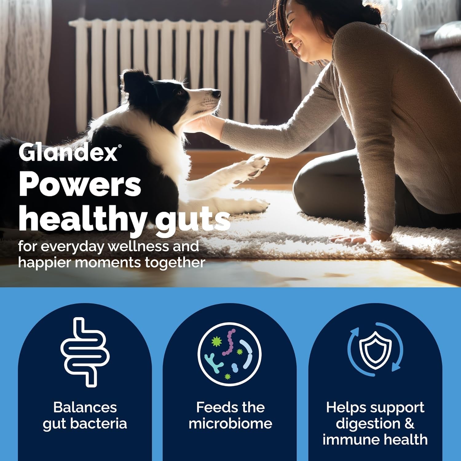 Vetnique Glandex Dog Probiotic Chews, Daily Probiotics for Dogs 5 Strains, Prebiotics & Digestive Enzymes for Gut & Immune Health, Vet Formulated for Occasional Diarrhea (60Ct Chews, Probiotic Chews)
