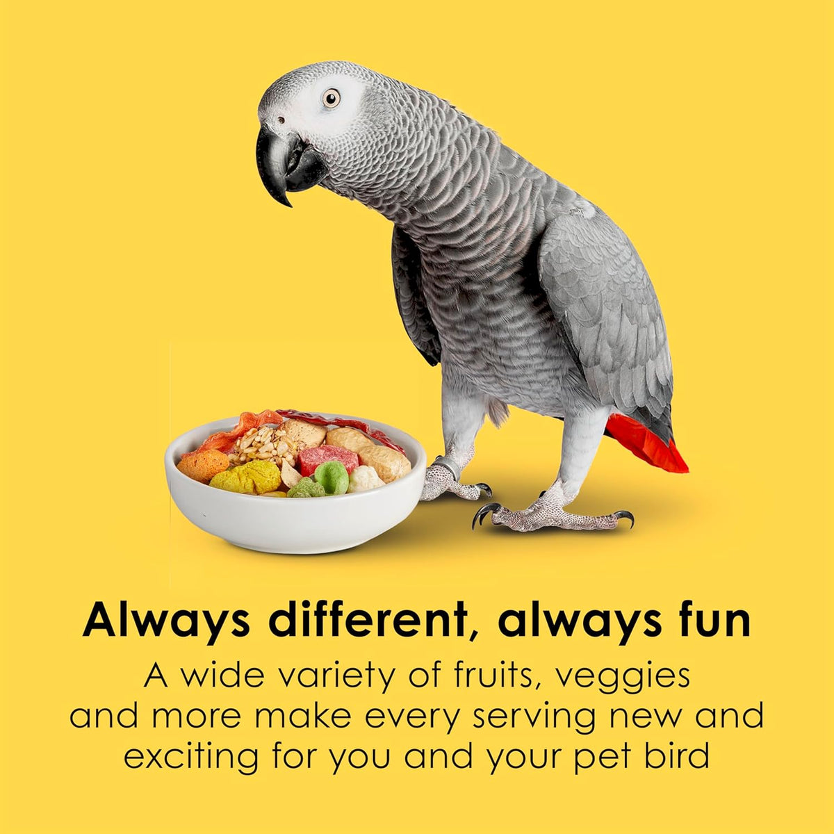 Kaytee Fiesta Parrot Food for Large Birds, 2.5 Pounds