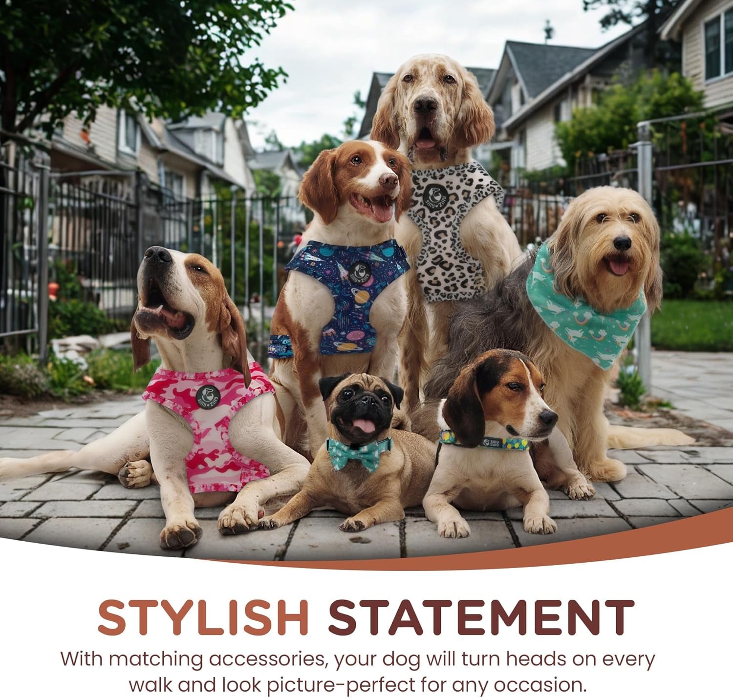No Pull Harness and Leash Set - 6-In-1 Adjustable Vest Harness and Collars for Medium and Large Dogs. (Tile Unicorn, Extra Small)