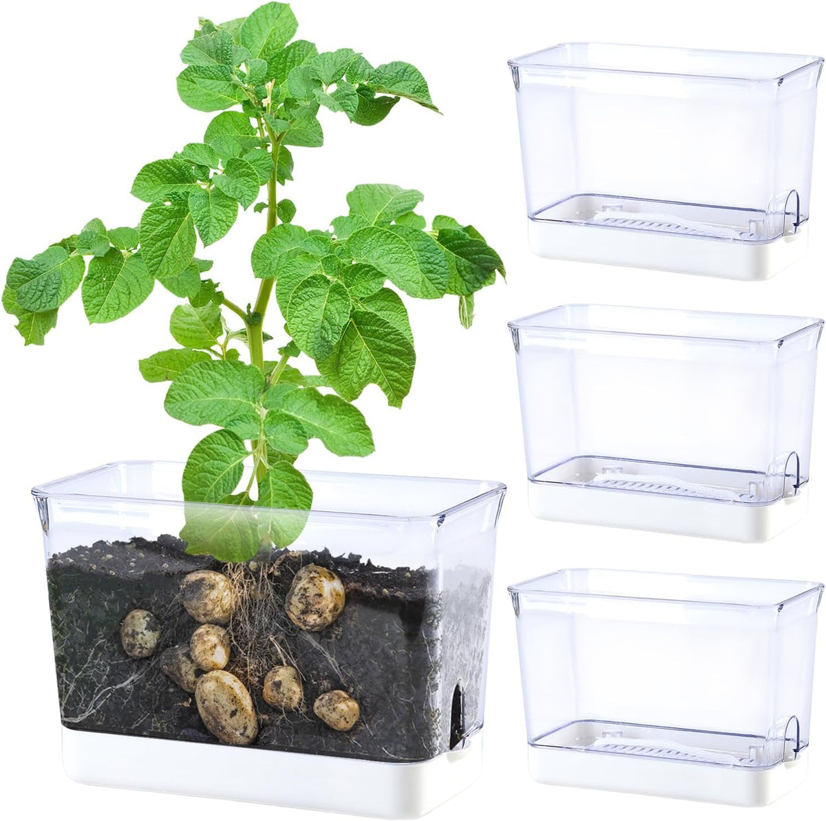 Oliz 4Pk Self-Watering Windowsill Planters, Clear Plastic W/Drainage Holes