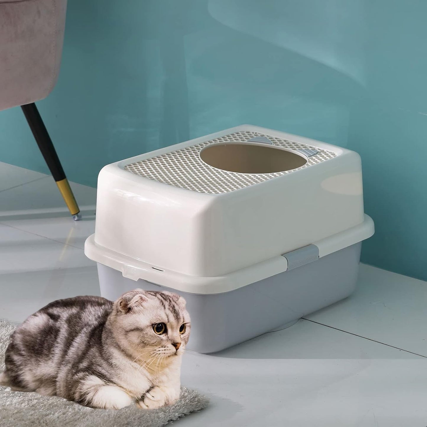 Smart Paws Covered Litter Box for Cats – Enclosed Design with Odor Control, No Mess, Easy Clean, Large Size for Multiple Cats