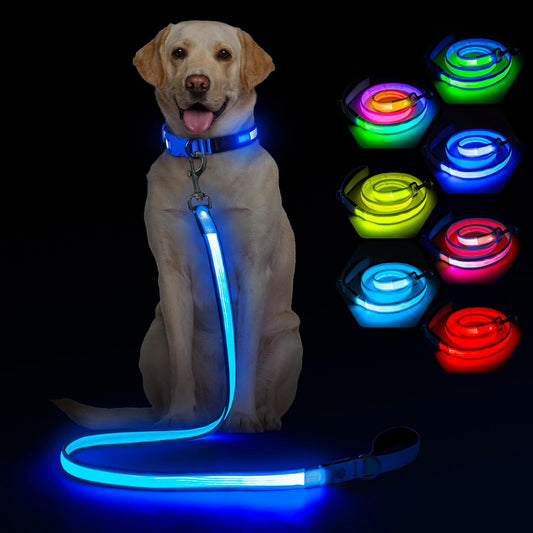 4 Ft Multi-Color Light up Dog Leash, Type-C Rechargeable LED & Lighted Leashes- Reflective Dog Leash Light with Padded Handle for Night Walking Safety, Small to Large Pets(Blue)