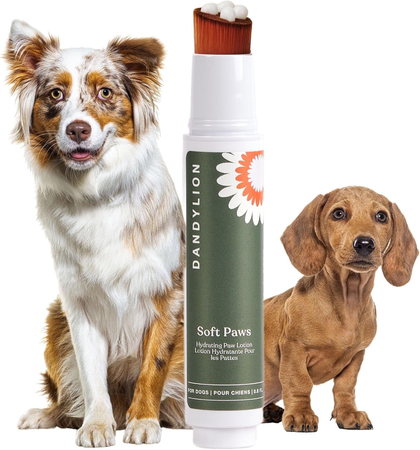 Dandylion Daily Paw Care Kit | No-Rinse Dog Paw Cleaner + Paw Lotion with Brush | Fragrance-Free, Ph-Balanced Formula | Desiged for All Dog Breeds