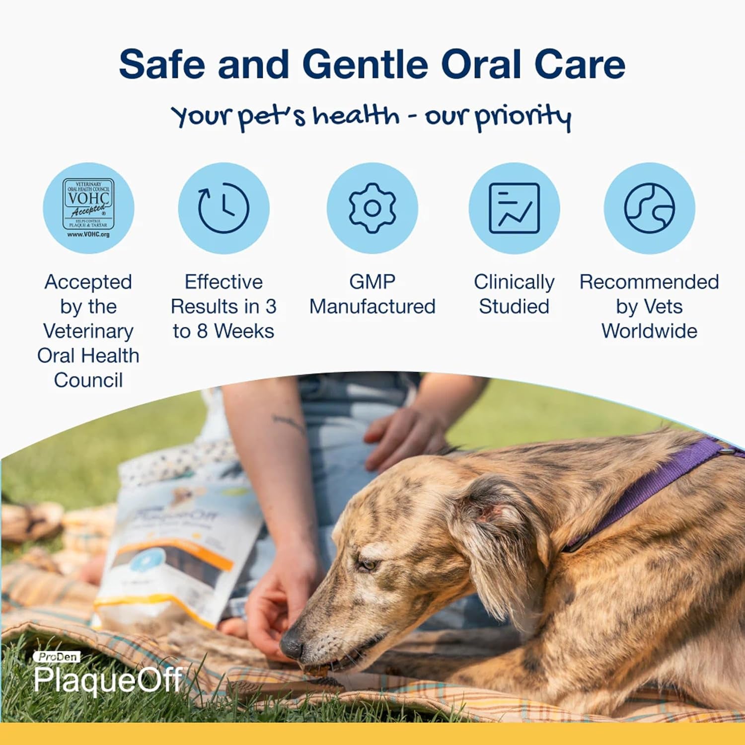 Proden Plaqueoff System Dental Care Bones for Dogs - Dog Breath Freshener & Plaque Remover - Dog Teeth Cleaning for a Healthy Mouth - Turkey Cranberry Flavor - 17 Oz