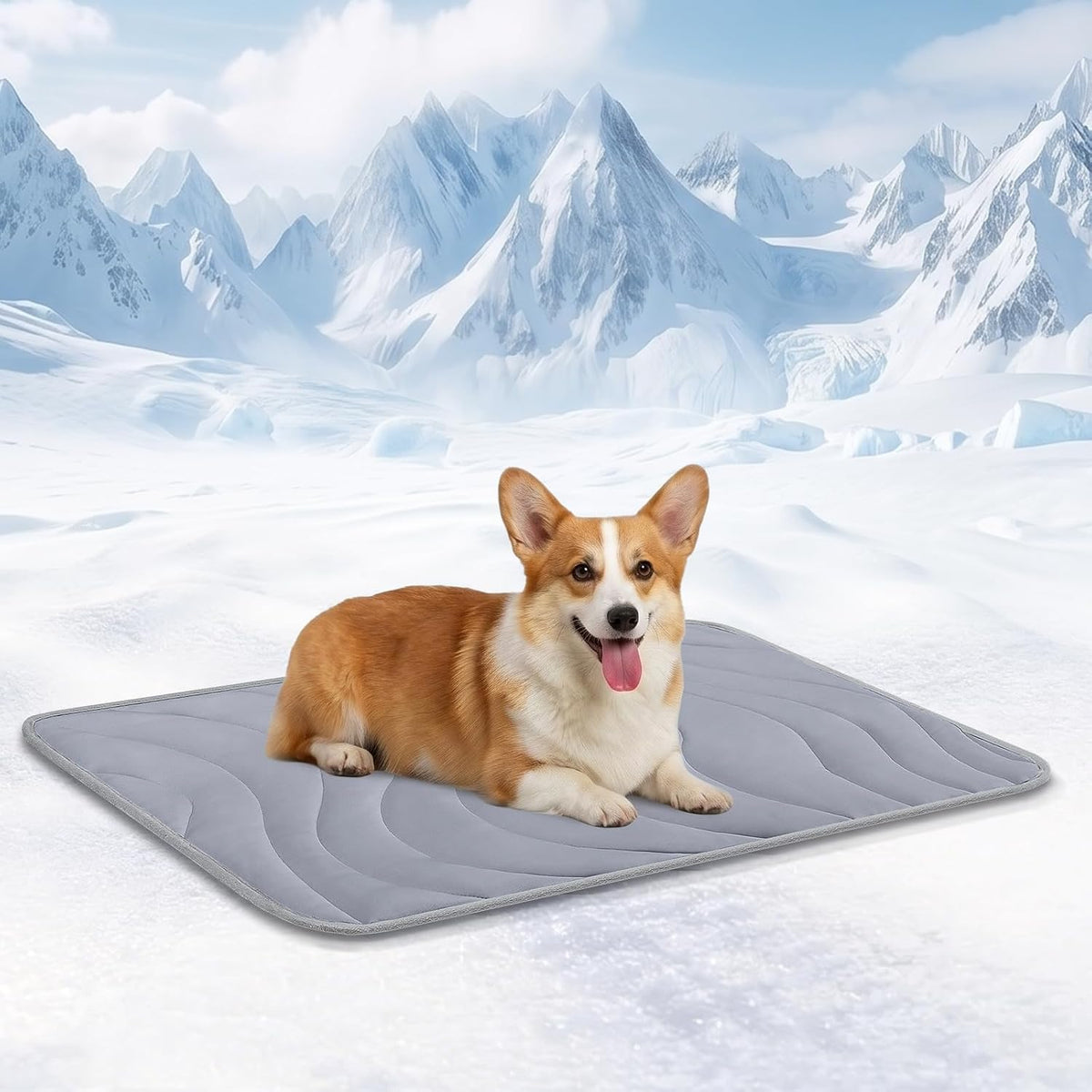 Cozyide Dog Cooling Mat, Q-Max>0.45, 36" L X 23" W, Dark Grey