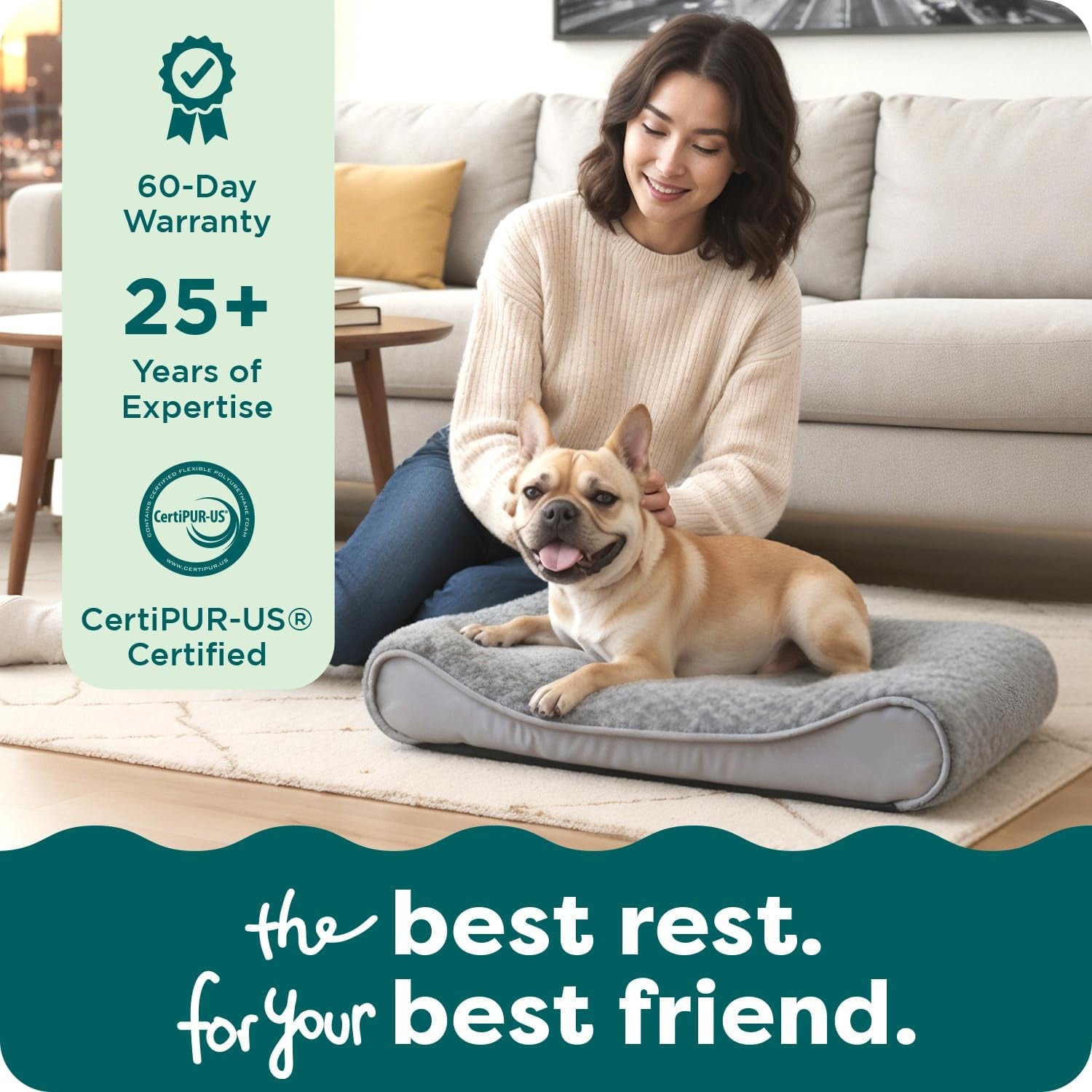 Orthopedic Dog Bed for Medium Dogs, Luxe Lounger Contour Mattress with Solid Orthopedic Foam Slab for Joint Support, Removable Washable Cover, Medium, Faux Fur & Suede, Gray