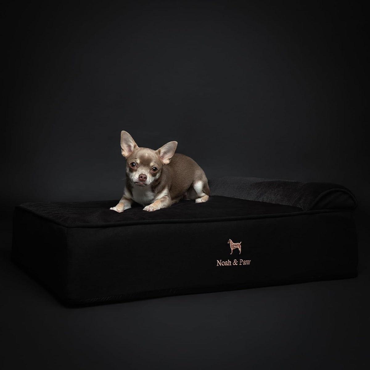 NOAH & PAW Dog Bed, 28X23X7.5 Inch, Orthopedic Dog Beds for Medium Size Pets, Eggshell Memory Foam Infused with Cooling Gel, Water Resistant, Machine Washable, Includes Inner Cover
