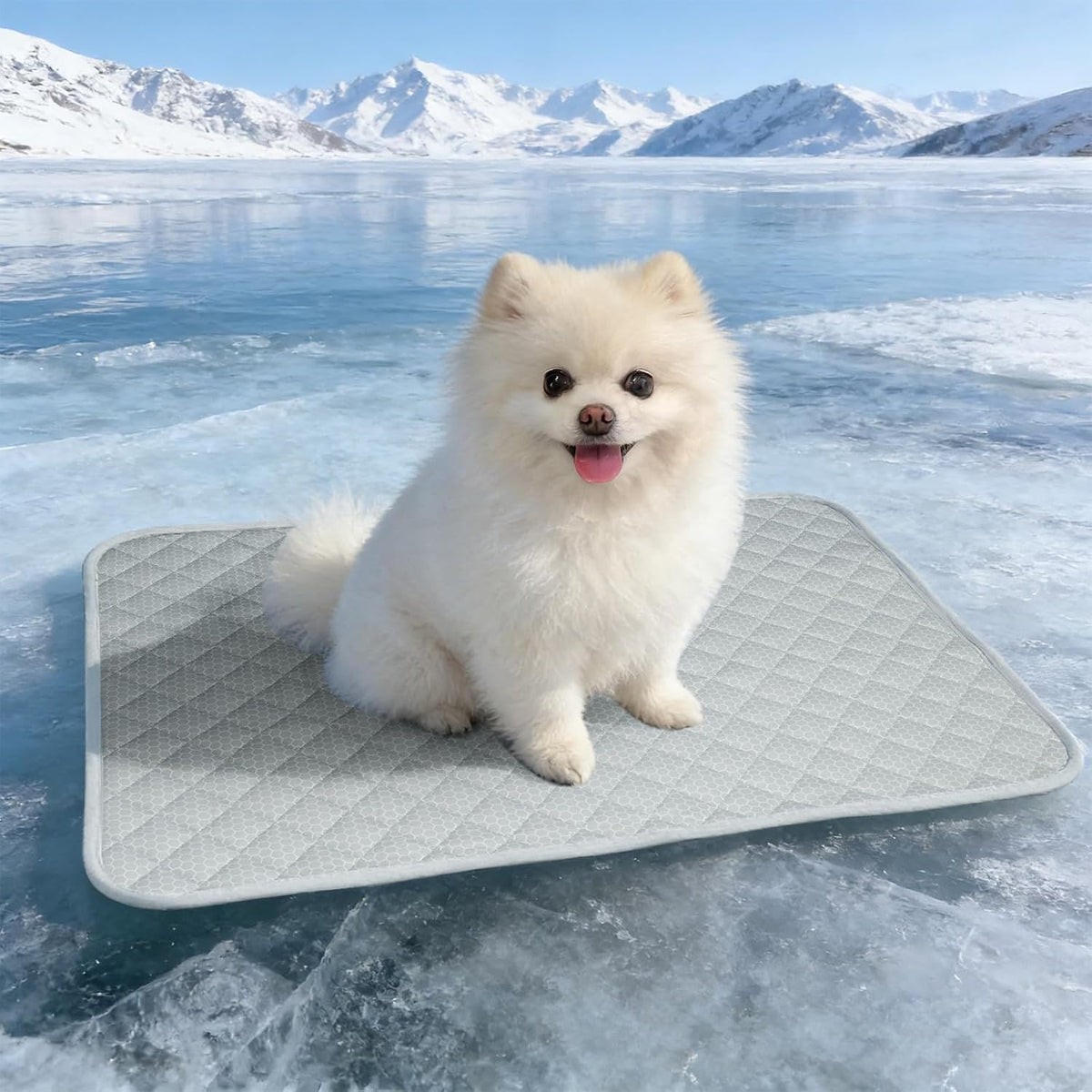 Cooling Mat for Dogs: Premium Waterproof Dog Cooling Blanket, 5-Layer Materials Dog Cooling Mat, Washable Pet Cooling Mat for Summer, Silver Grey Mats Small Dogs