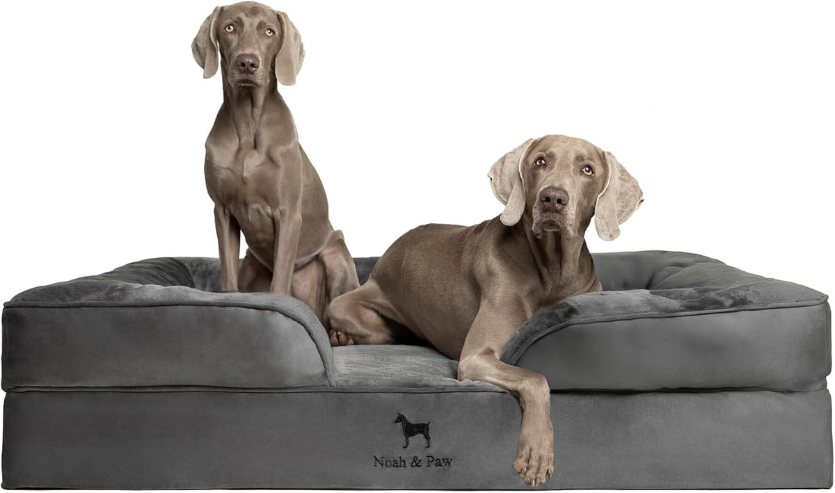 NOAH & PAW Giant Dog Bed XXL, 55X45X11 Inch, Orthopedic Dog Beds, Eggshell Memory Foam Infused with Cooling Gel, Inner Cover, Water Resistant, Machine Washable