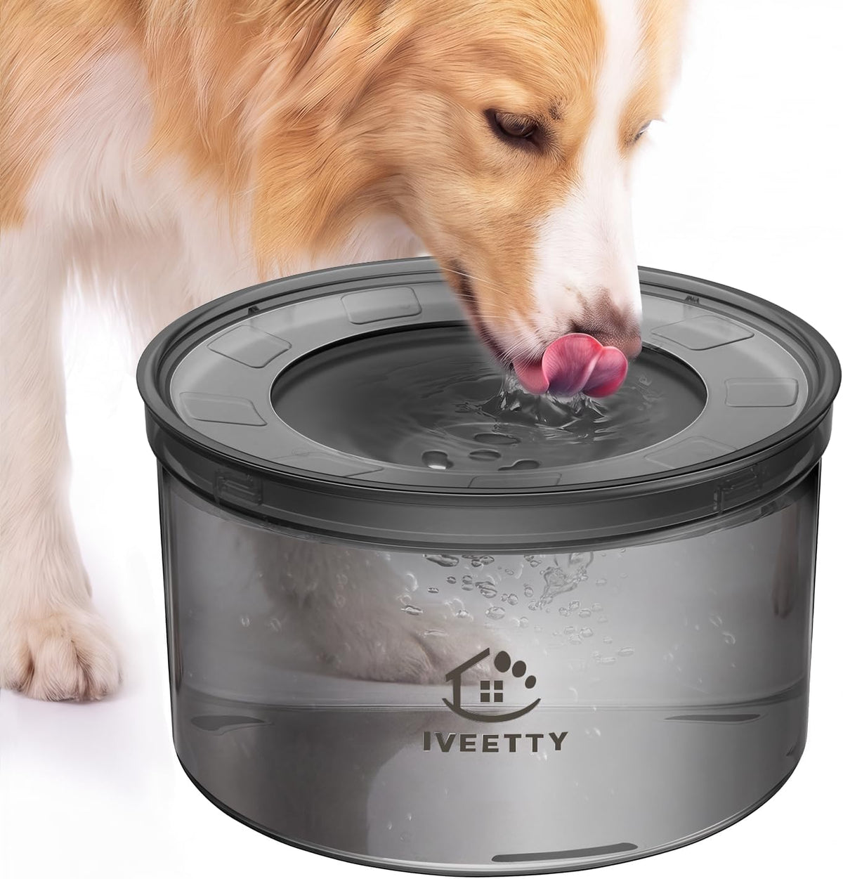 No Spill Water Bowl for Dogs, 1 Gallon Dispenser, Messy Drinkers