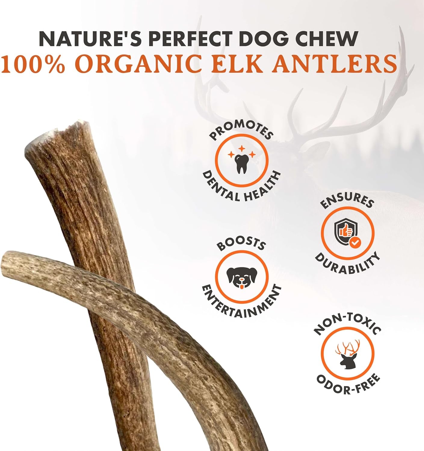 Alpha Dog Nutrition Elk Antler Chews (Large, Whole)