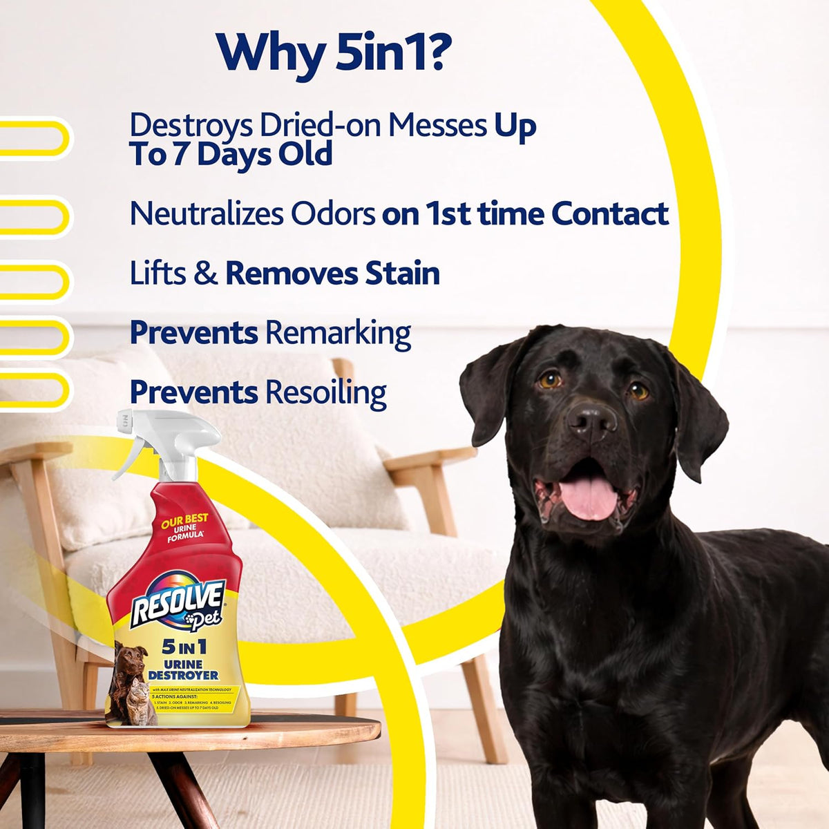 Resolve® 5-In-1 Urine Destroyer Carpet Cleaner Spray, Pet Stains, 22Oz