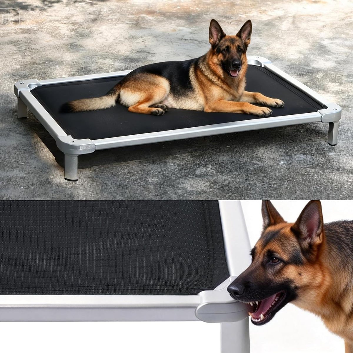 Senneny Chew Proof Elevated Dog Bed Large Sized Dog, Raised Cot for Indoor Outdoor Camping, Heavy-Duty Chew Resistant Hidden Fabric Indestructible Dog Bed, L, 50" L X 33" W X 8" H