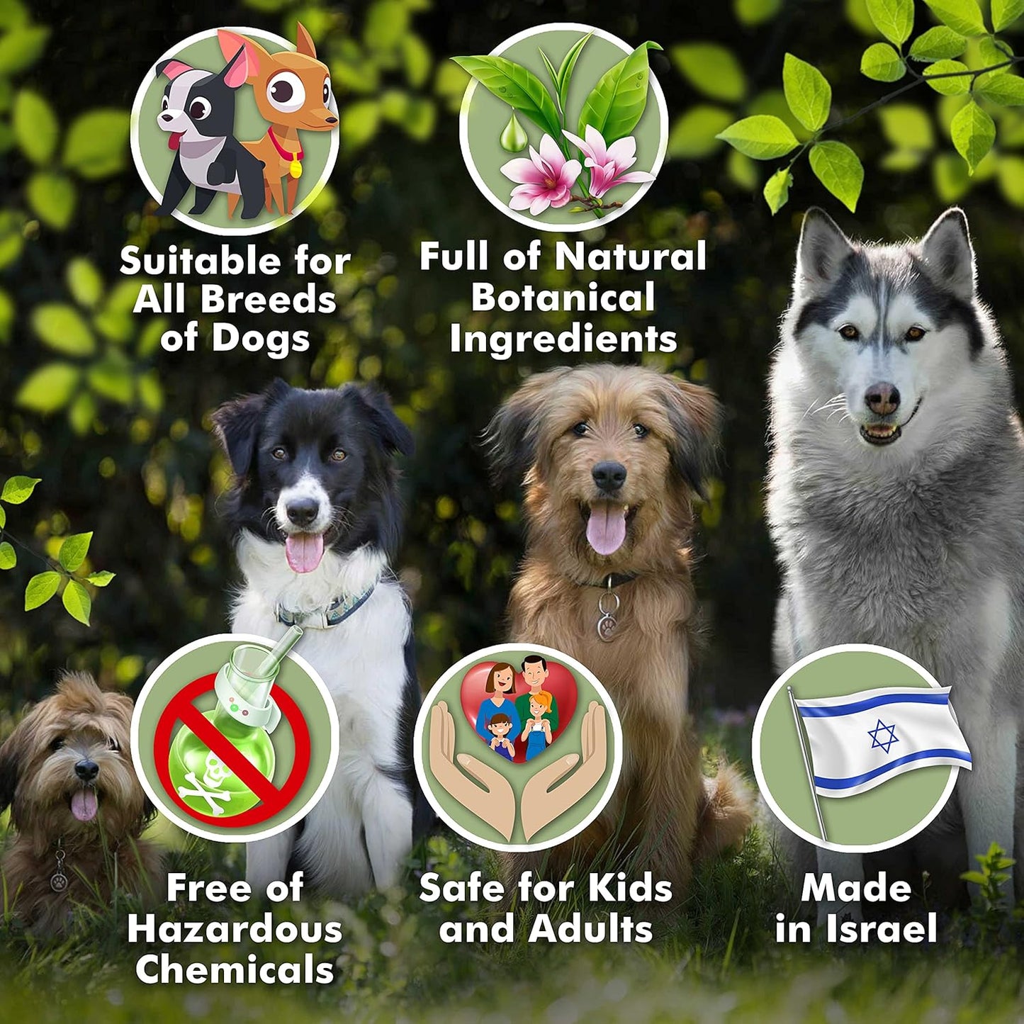 Arava Natural Medicated Dog Shampoo – anti Yeast anti Itch Dog Shampoo - Healthy Skin & Coat - First Aid in Hot Spots Ringworm Scrapes Abrasions & Dermatologic Infections - 400Ml / 13.5 Fl Oz
