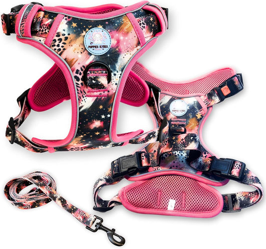 Dog Harness and Leash Set - Small Dog Harness No Pull Step in Reflective Puppy Harness - Pet Leash and Vest - Pink Galaxy (XL)
