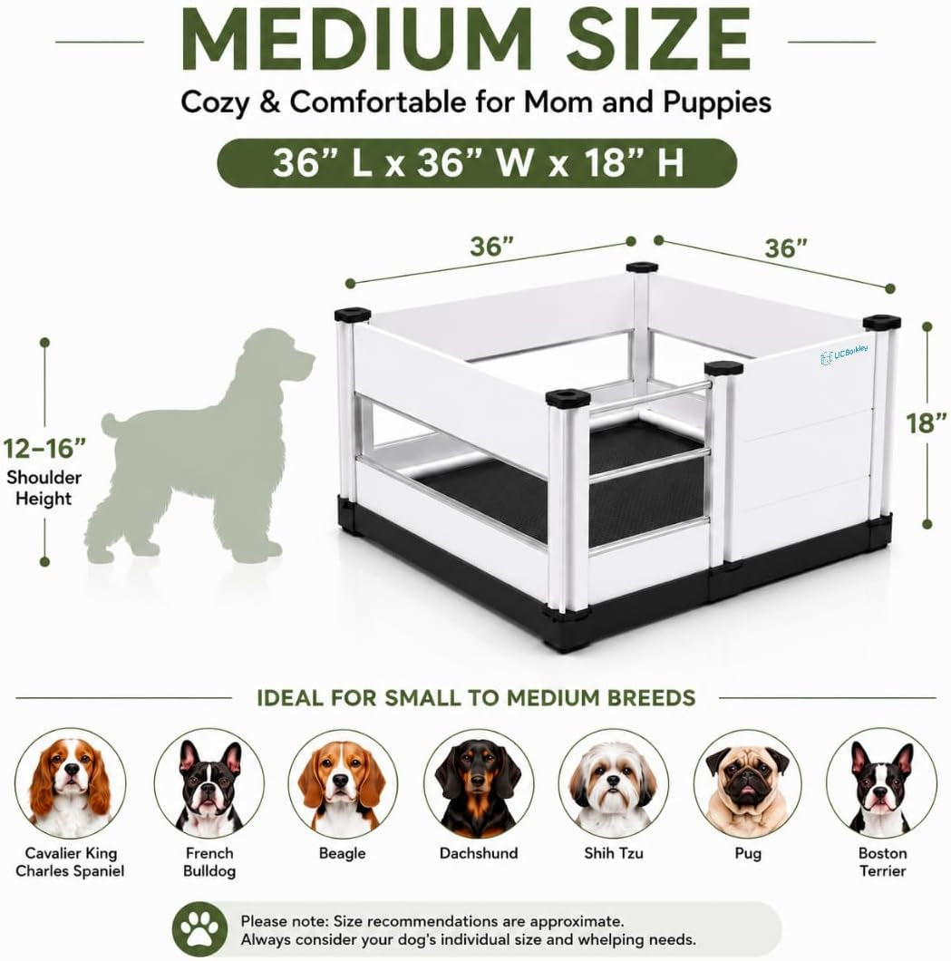 Whelping Box for Dogs and Puppies with Clear Window Panel – 36 Inch Modular, Easy-Clean, Safe Design with Pig Rail, Floor Liner & Washable Pad | Premium Small to Medium Breeds