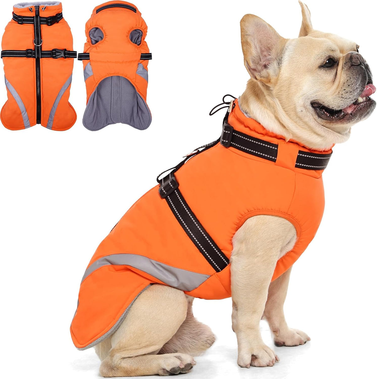 QBLEEV Dog Coat for Medium Dogs, Waterproof Dog Winter Warm Coat Snowsuit