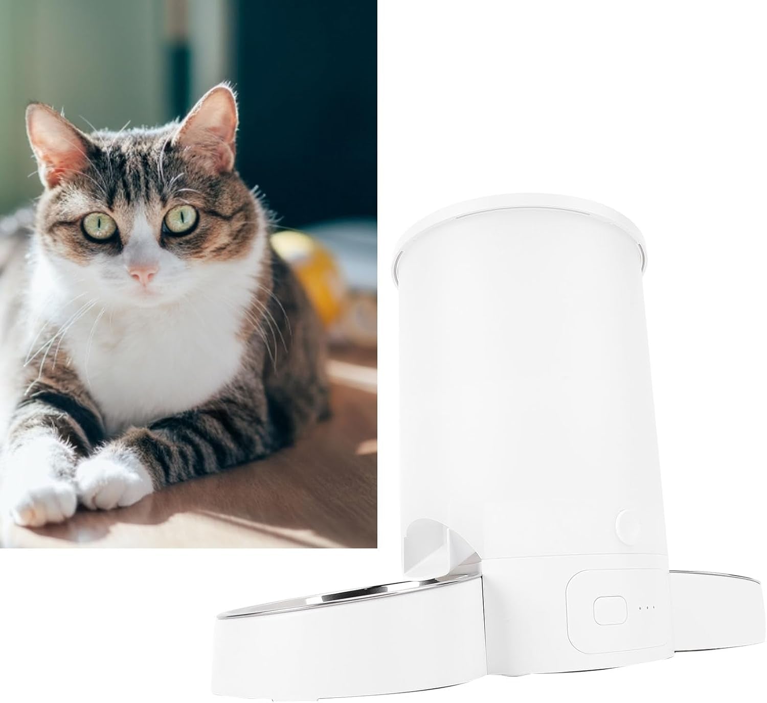 Automatic Cat Feeders, 3L Timed Cat Dry Food Dispenser, Dual Power Supply, Programmable Portion Size, 1 to 6 Meals per Day, Auto Pet Feeder for Cats and Small Dogs