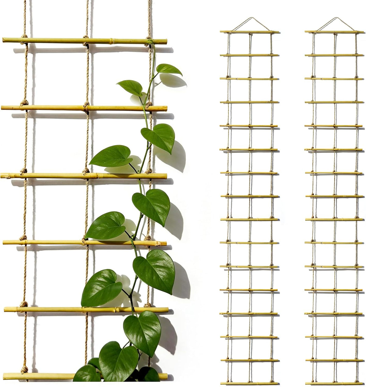 Natural Bamboo Ladder Plant Trellis 79 in L X 12 in D Ideal for Climbing Plants, Providing Reliable Support Suitable for Outdoor Walls, Gardens, Patios, and Similar