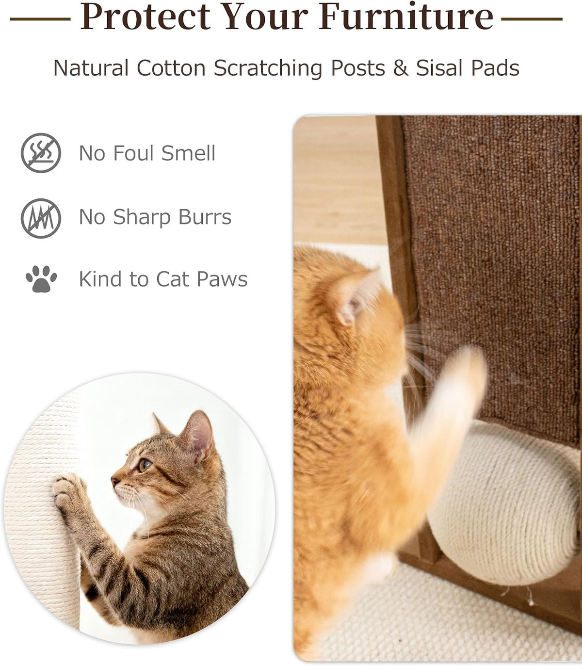 37.5" Cat Tree for Large & Senior Cats with Low Step & Sisal Board