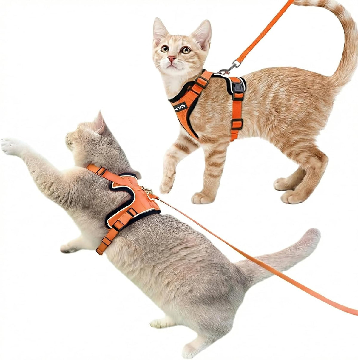 Luxelle 2 Pack Escape-Proof Cat Harness and Leash Set for Walking – Adjustable No Pull Soft Vest with Easy-Wear Buckle, Reflective Straps, Breathable Mesh – Outdoor Travel Harness for Cats & Kittens