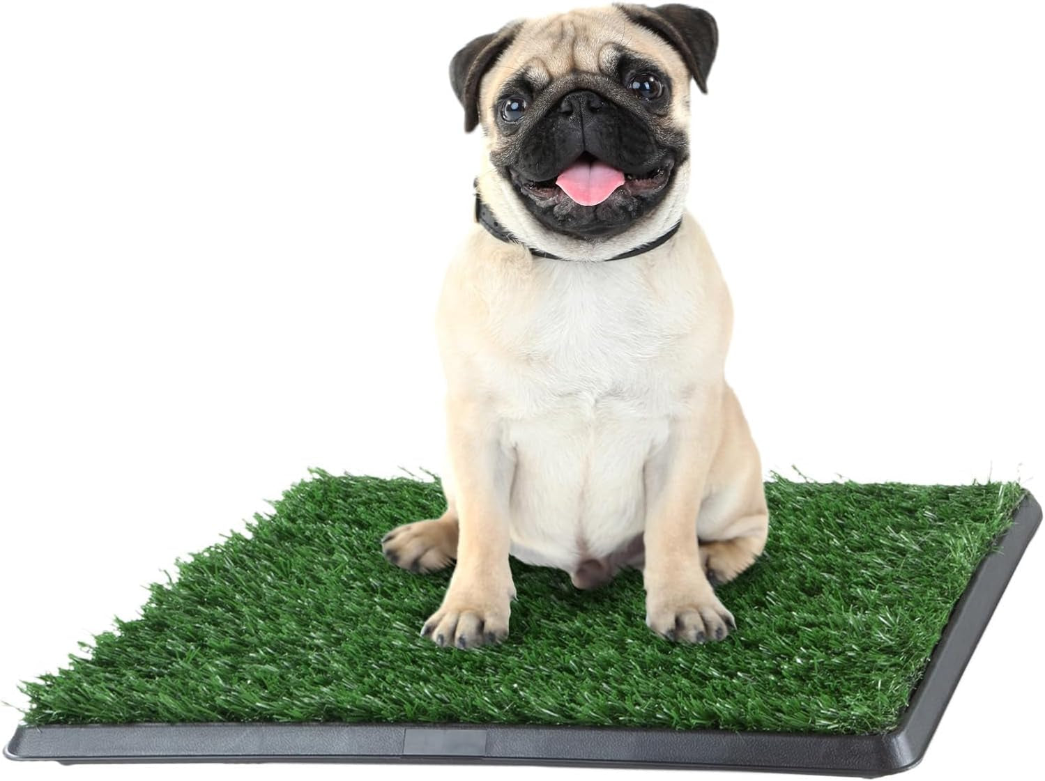 Artificial Grass Puppy Pad with Tray 16X20 Inch | Reusable Indoor & Outdoor Dog Potty Training Mat System | Washable Fake Grass Pet Housebreaking Pad for Puppies & Small to Medium Dogs by PETMAKER