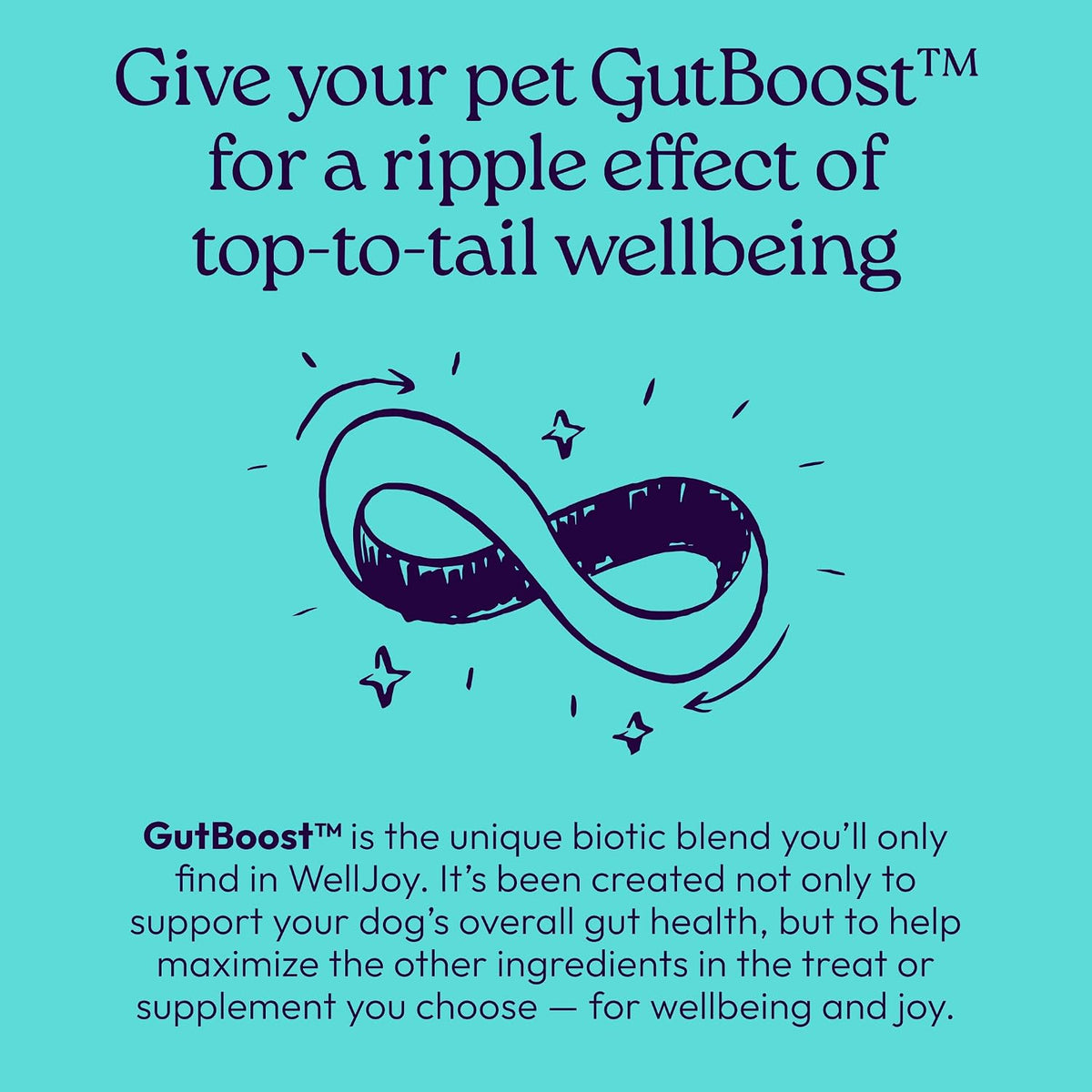 Welljoy Joint Dog Treat + Glucosamine, Chondroitin, Gutboost, 30Ct