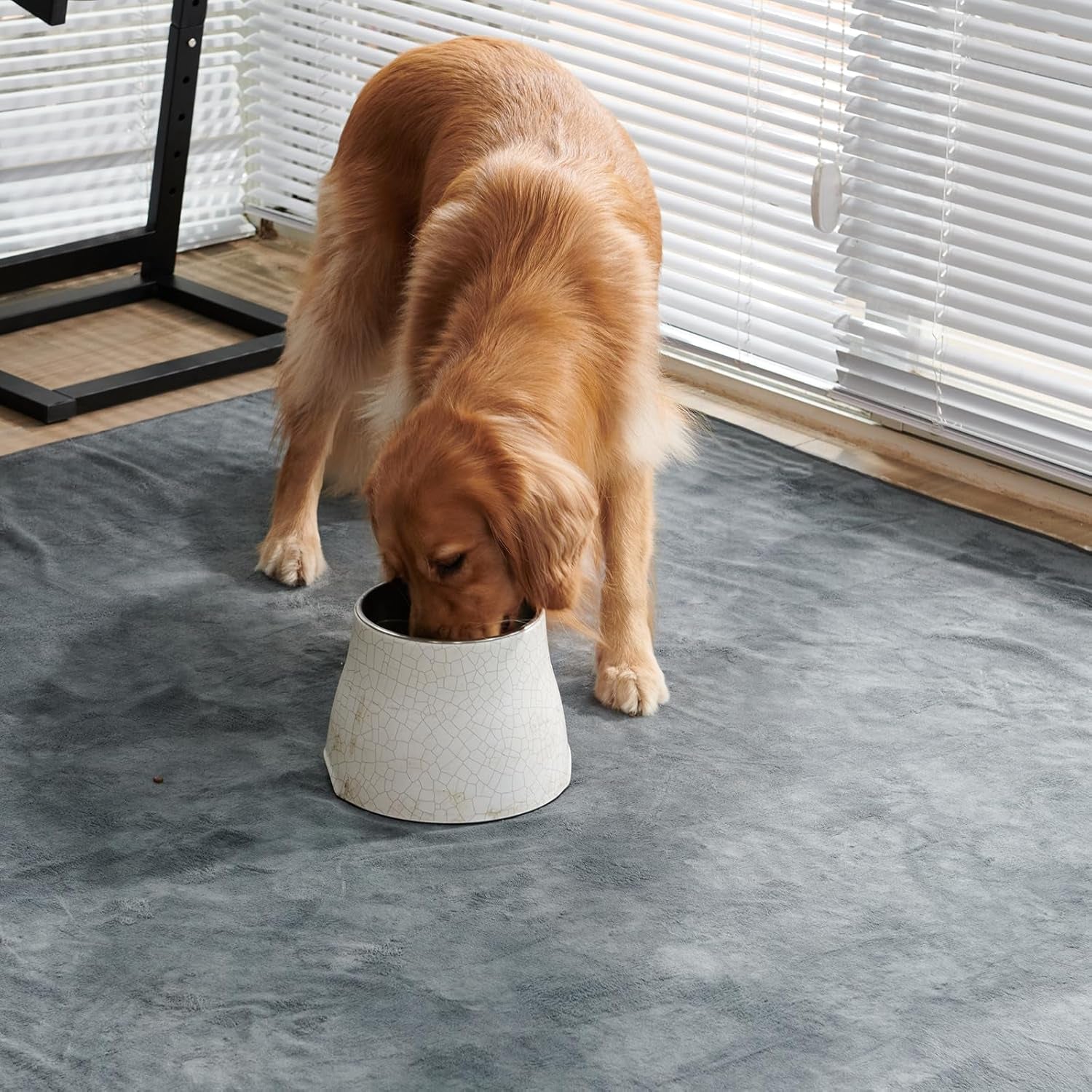 Dog Pee Pad Washable Extra Large, Instant Absorb Thicker Training Pads Non-Slip Pet Playpen Mat, Waterproof Reusable Floor Mat Ideal for Puppy Senior Dog Whelping Incontinence Housebreaking 65X48 Inch