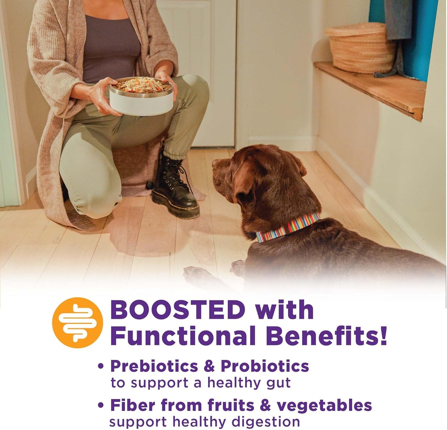 Wellness Bowl Boosters Digestive Health Dog Food Topper with Freeze Dried Pieces for Small, Medium, and Large Breeds, Sensitive Stomach, Grain Free, Natural, Chicken Recipe, 4 Oz Bag