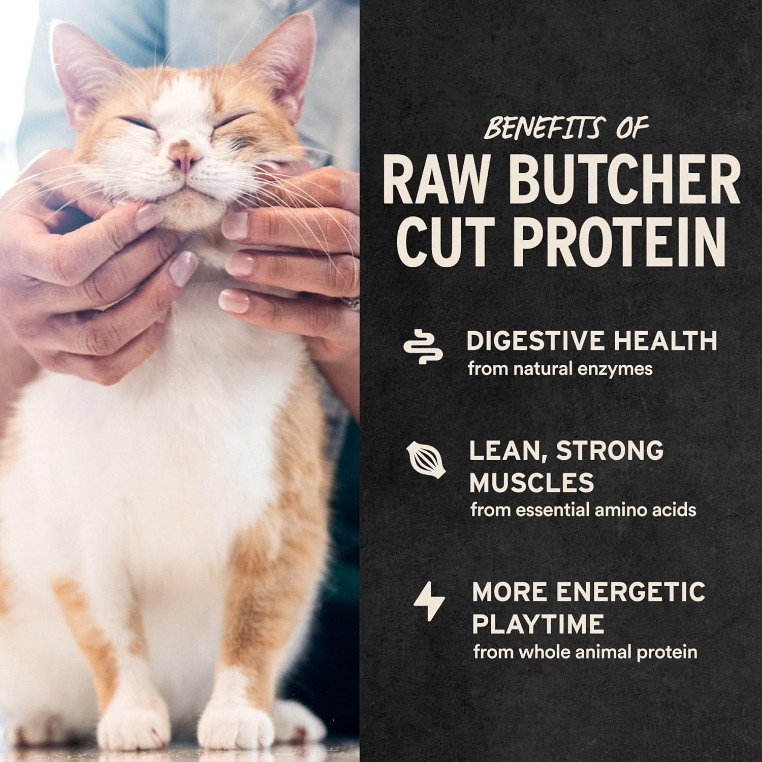 Vital Essentials Freeze Dried Cat Treats | Rabbit Bites, Single Protein | Premium Quality | Grain Free, Crunchy Cat Treats, 0.9 Oz Bag