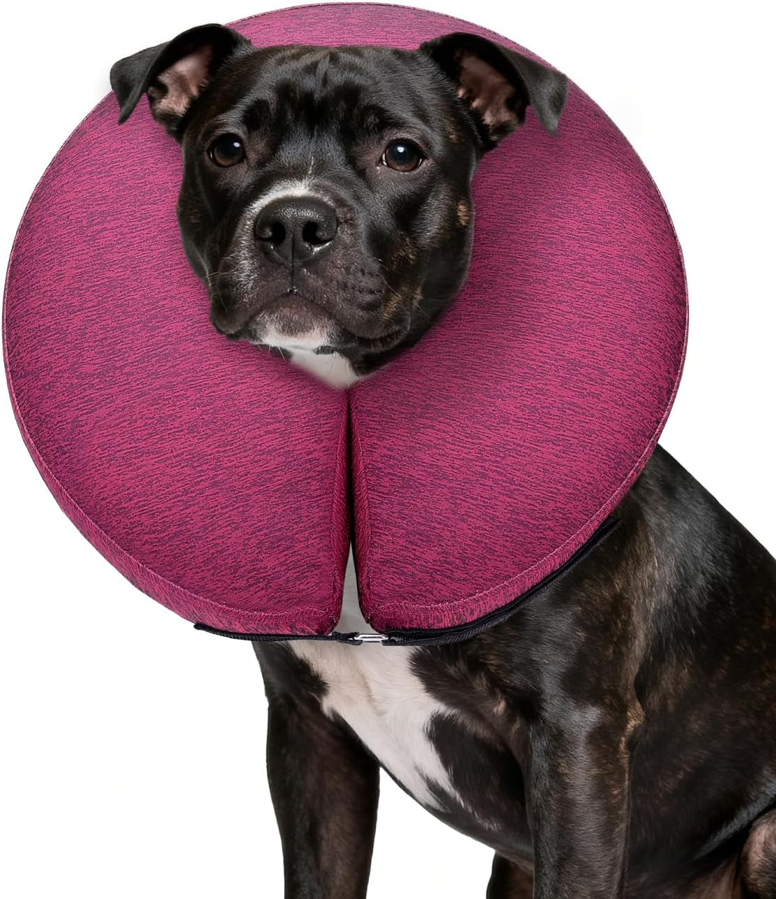 MIDOG Inflatable Dog Cone Collar – Soft Dog Cone Alternative after Surgery, Comfortable Recovery Neck Donut Ecollar for Small Medium & Large Dogs and Cats to Stop Licking & Vision-Friendly (Rose,L)