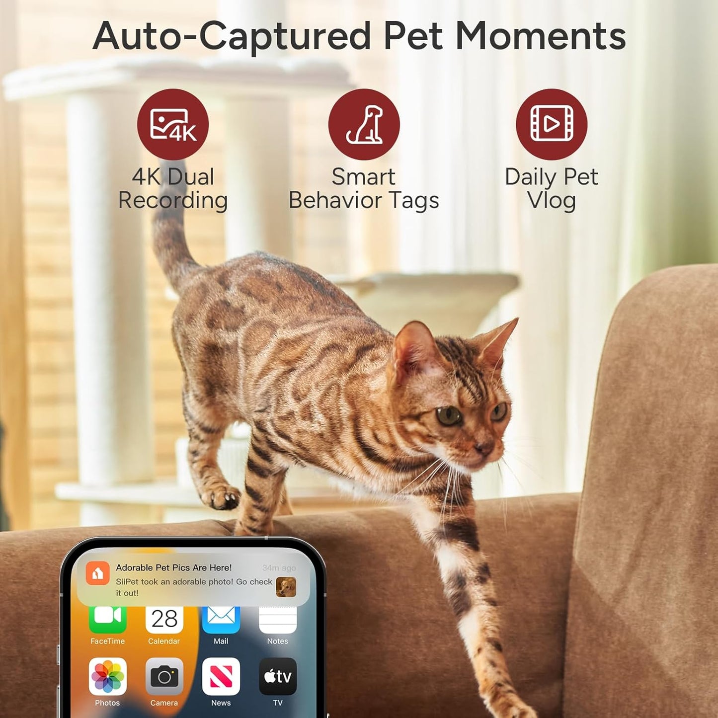 Pawtrack 4K Pet Camera with Auto Tracking, 360° Pan/270° Tilt, Behavior Alerts & Smart Pet Vlog & Two-Way Audio, Privacy Mode, Multi-Pet ID, 1080P Daily Recording Smart Pet Monitor