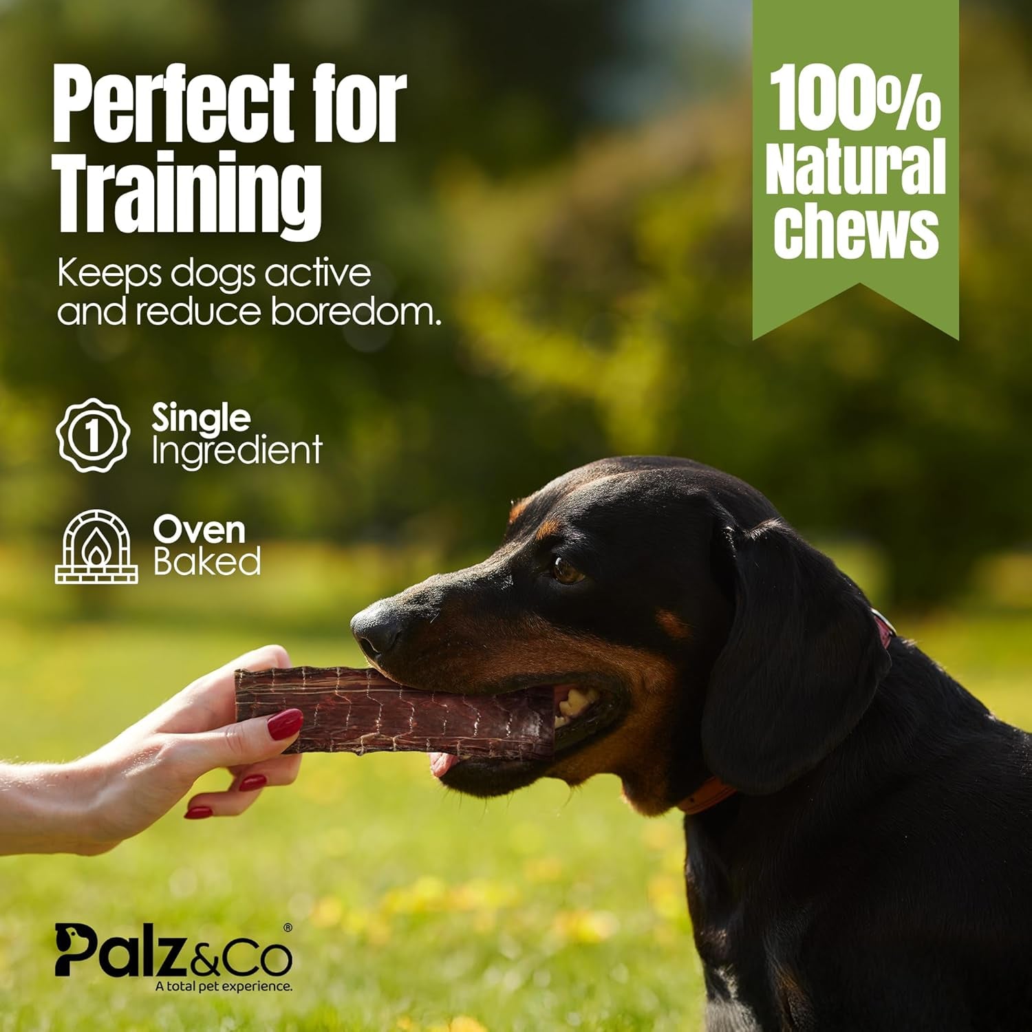 Palz&Co Moodog Beef Gullet Strips 8" for Dogs - High-Protein Chews, Supports Joint Health and Dental Hygiene, Easily Digestible, 5-Pack