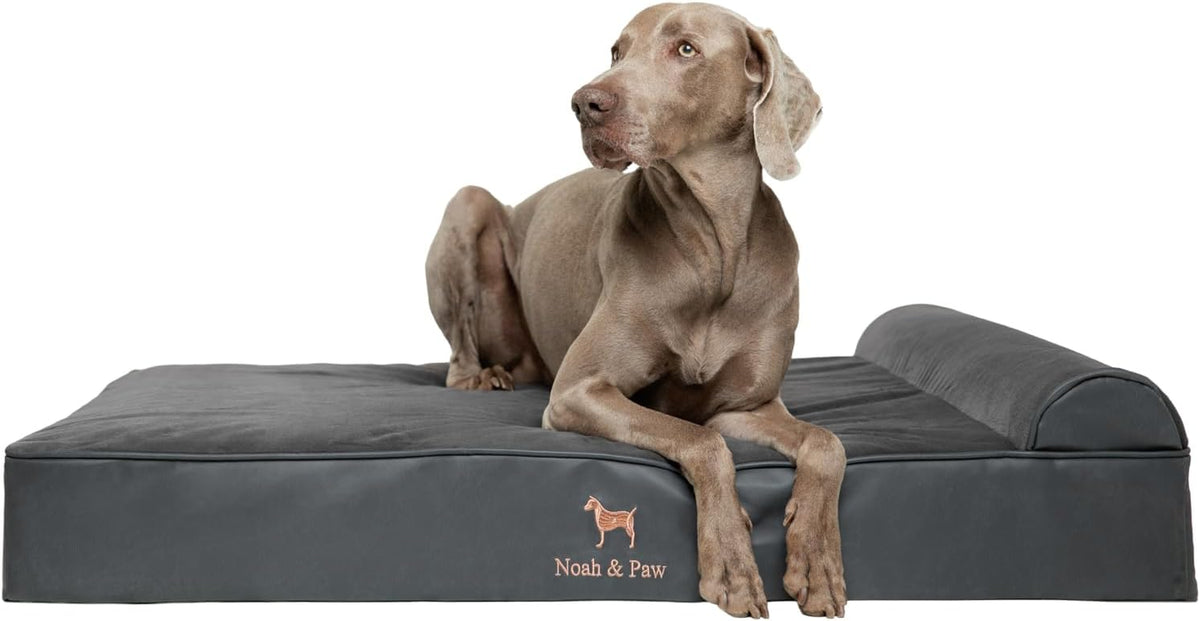 NOAH & PAW XL Dog Bed, 45X35X9.1 Inch, Orthopedic Large Dog Beds, Eggshell Memory Foam Infused with Cooling Gel, Water Resistant, Machine Washable, Includes Inner Cover